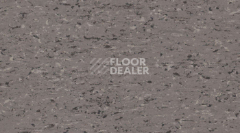 Линолеум Gerflor Mipolam Accord 0342 POZZOLO фото 1 | FLOORDEALER